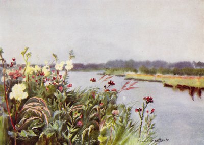 Norfolk Broads: Een Bure Bank door Frank Southgate