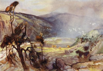 Storm in de Cheviots door Frank Southgate