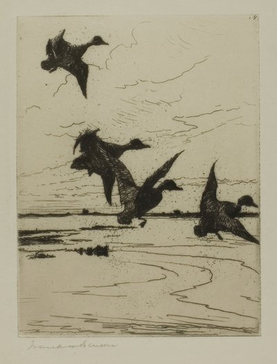 Landende Eenden door Frank Weston Benson
