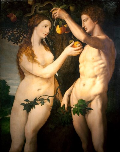 De zondeval van de mens door Frans Floris