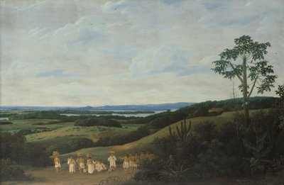 Een Braziliaans landschap door Frans Post