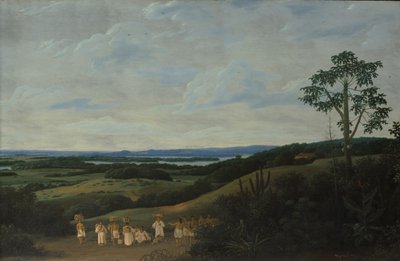 Een Braziliaans landschap, 1650 door Frans Post