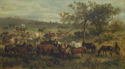 Paarden bij een trog door Franz Adam