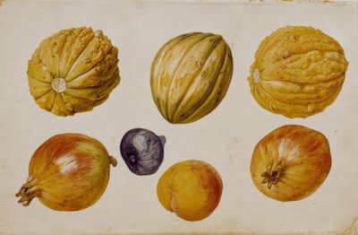 Vruchtenstudies door Franz Horny