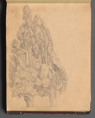 Album met Zichten op Rome en Omgeving, Landschapsstudies, pagina 13a: Bomen door Franz Johann Heinrich Nadorp