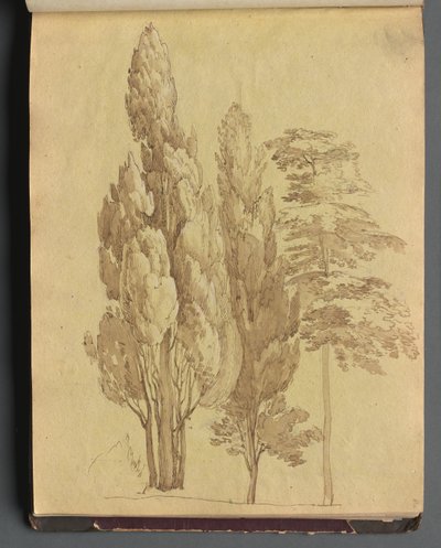 Album met uitzichten van Rome en omgeving, landschapsstudies, pagina 15a: Bomen door Franz Johann Heinrich Nadorp