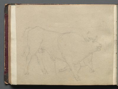 Album met Zichten op Rome en Omgeving, Landschapsstudies, pagina 51b: Studie van een Stier door Franz Johann Heinrich Nadorp