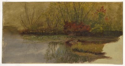 Een hoek van een vijver door Frederic Edwin Church