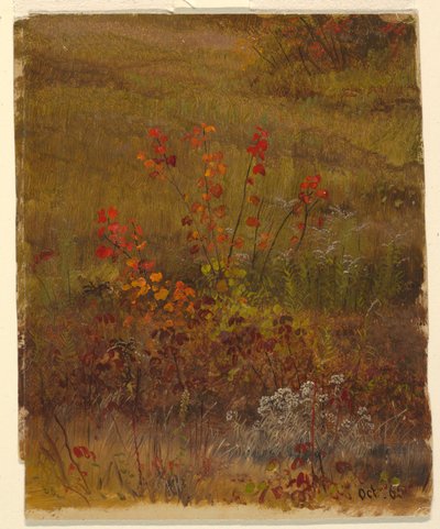 Botanische studies door Frederic Edwin Church
