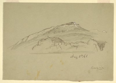 Tekening, Een boom, Beieren, 8 augustus 1868 door Frederic Edwin Church
