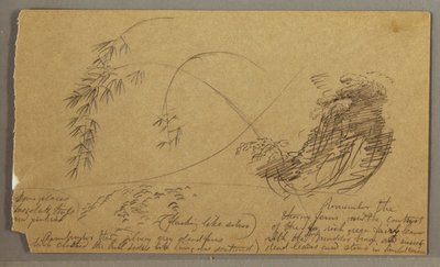 Tekening, Bamboe-achtige twijgen, mogelijk 1865-66 door Frederic Edwin Church