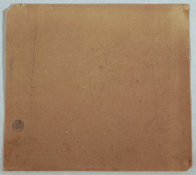 Tekening, Botanische Schetsen, Mogelijk Bamboes, Palmen en Struiken, Ecuador of Colombia, 1853 of 1857 door Frederic Edwin Church