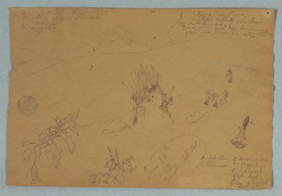 Tekening. Botanische en Wolkenschetsen nabij Quito, Ecuador door Frederic Edwin Church