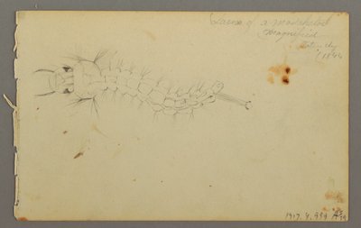 Tekening, Wolkenstudie, 1844 door Frederic Edwin Church