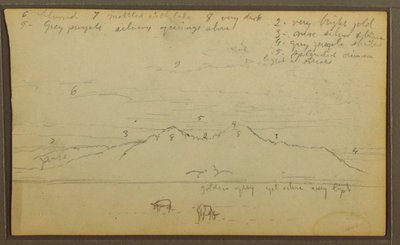 Tekening, Koeien in landschap; Verso: Bamboe, 1857 door Frederic Edwin Church