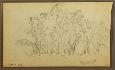 Tekening, Koeien in landschap; Verso: Bamboe, 1857 door Frederic Edwin Church