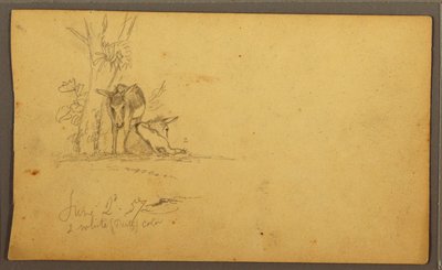 Tekening, Ezels, 2 juni 1857 door Frederic Edwin Church