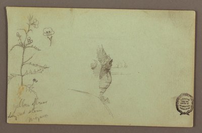 Tekening, Bloeiende plant en een rots tussen de Amerikaanse en Canadese watervallen bij Niagara, mogelijk 1858 door Frederic Edwin Church
