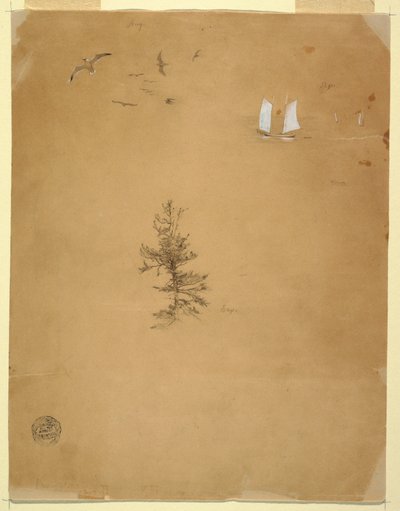 Tekening, Meeuwen, Zeilboten, Boom, augustus en september 1859 door Frederic Edwin Church