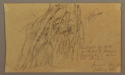 Tekening, Hangende wortels, Galleway Hill, augustus 1865 door Frederic Edwin Church