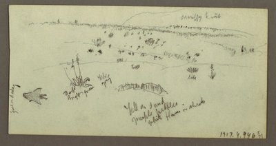 Tekening, Heuvel, Bosjes, Figuur, Kamelenstudies, mogelijk 1868 door Frederic Edwin Church