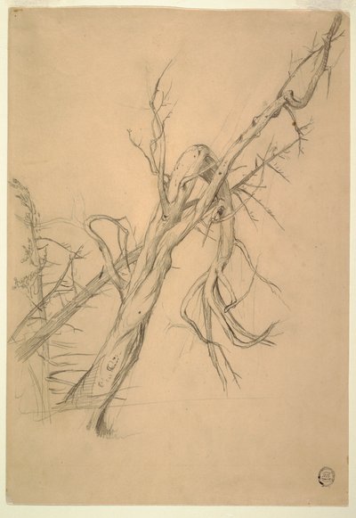 Tekening, indianenkampement, Grand Manan, baai van Fundy, september 1851 door Frederic Edwin Church