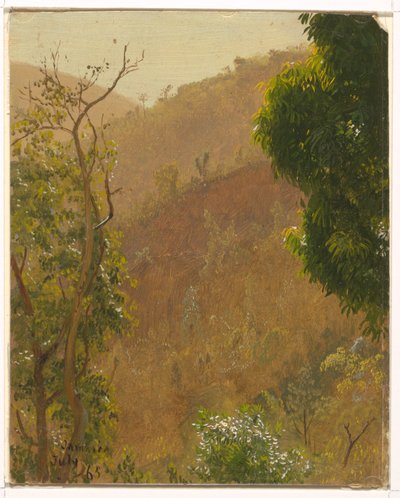 Tekening, Landschap, juli 1865 door Frederic Edwin Church