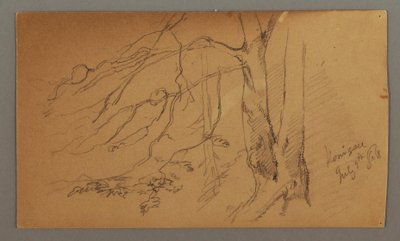 Tekening, onderste helft van boom, 9 juli 1868 door Frederic Edwin Church