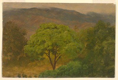 Tekening, Berglandschap, augustus 1865 door Frederic Edwin Church