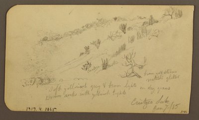 Tekening, Berg, Zapotlan; Verso: Beboste helling, Cuitzeo meer, januari 1885 door Frederic Edwin Church