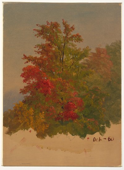 Tekening, Mt. Desert Island , Maine, oktober 1860 door Frederic Edwin Church