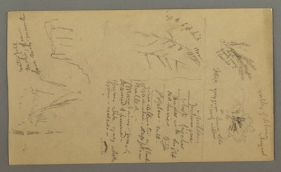 Tekening, Plantenstudies, Plantennotities, Waterval, 1868 door Frederic Edwin Church