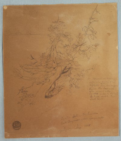 Tekening, Ruige boom bij de Canadese bank onder de Niagara watervallen, september 1856 door Frederic Edwin Church