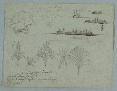 Tekening, Schetsen van de Rio Magdalena, Colombia:  Planten, stoomboot en een Champan, 1853, waarschijnlijk mei door Frederic Edwin Church