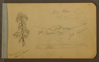 Tekening, boom, bergen, 1889 door Frederic Edwin Church