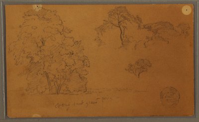 Tekening, Bomen, 1857 door Frederic Edwin Church