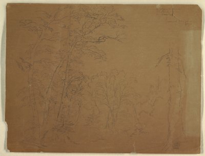 Tekening, Bomen, Grand Manan Eiland, Canada, 1851 door Frederic Edwin Church