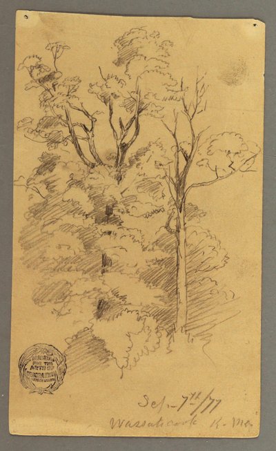 Tekening, Twee bomen, 1877 door Frederic Edwin Church