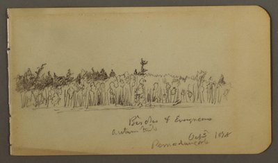 Tekening, Bosachtige oever, 1878 door Frederic Edwin Church