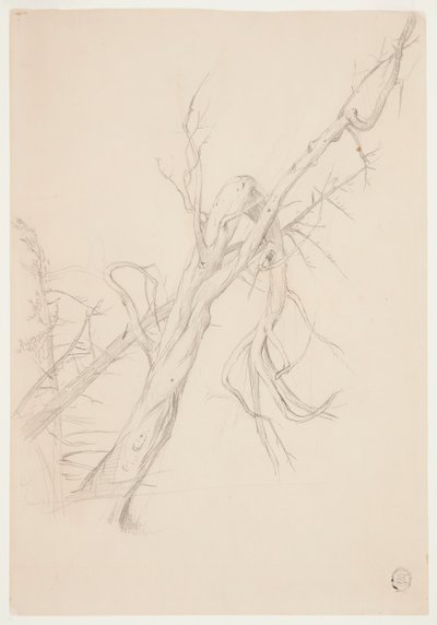 Knoestige dode boom door Frederic Edwin Church