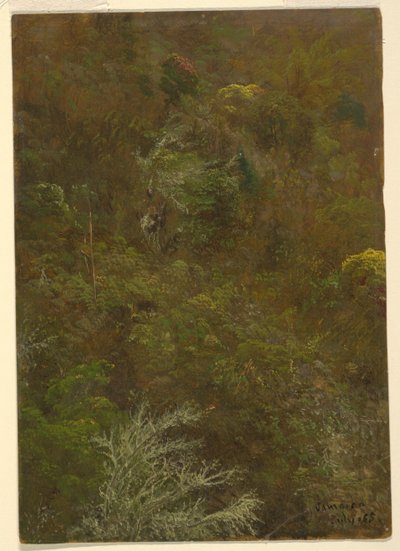 Heuvel met bomen, Jamaica door Frederic Edwin Church
