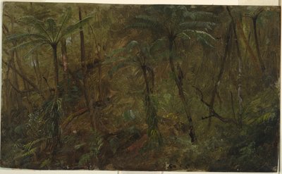 In het bos, Jamaica door Frederic Edwin Church
