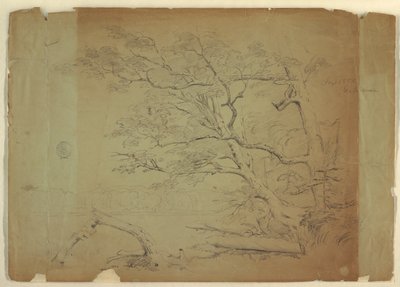 Landschap met bomen en een stroom [?], Grand Manan Island, Canada door Frederic Edwin Church