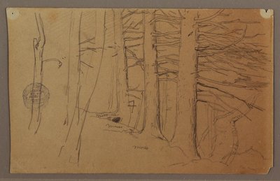 Onderste delen van een groep bomen die op een helling groeien door Frederic Edwin Church