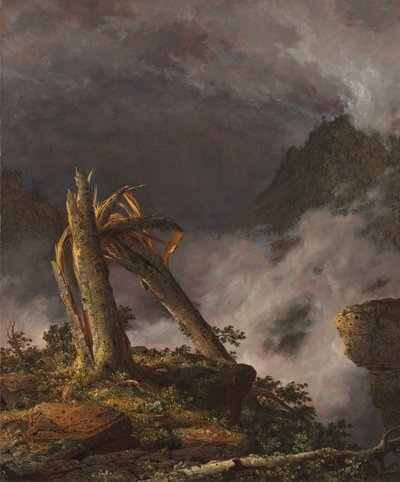 Storm in de bergen door Frederic Edwin Church