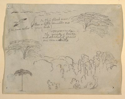 Studies van vogels en bomen gezien vanaf de Rio Magdalena, Colombia door Frederic Edwin Church