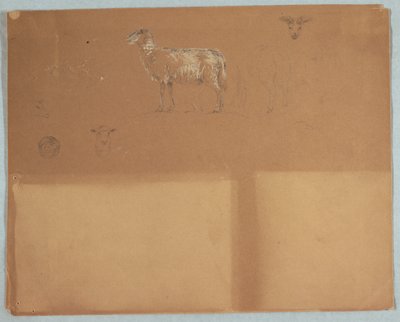 Studies van Schapen, Ecuador of Colombia door Frederic Edwin Church