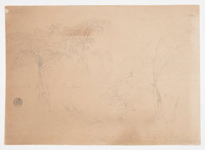 Studie van twee bomen en drie planten, nabij Jorje, Ecuador door Frederic Edwin Church
