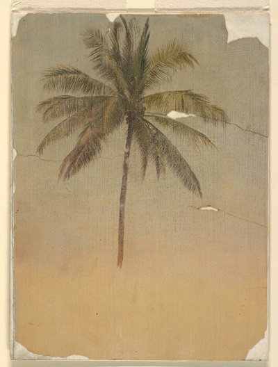 Stam en top van een palmboom door Frederic Edwin Church