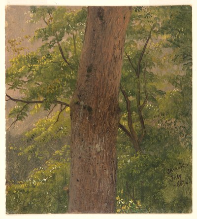 Bosstudie, Jamaica door Frederic Edwin Church
